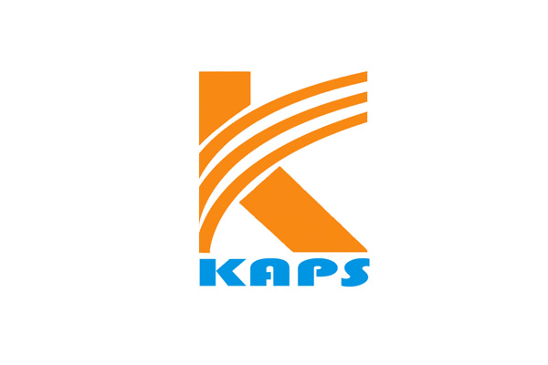 Kapsystem SMS Review -